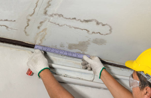 Reliable Basement Water Removal contractor in Hoquiam, WA by Water Damage Irwin